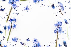 Floral Spring Frame With Blue Flowers And Pink Hyacinth Flower On White Background. Flat Lay, Top View. Copy Space Stock Photos