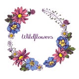 Floral Wreath of Wildflowers Hand drawn vector illustation vector illustration Floral Wreath of Wildflowers Hand drawn vector illustation vector illustration