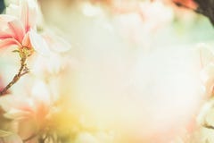 Floral υπόβαθρο φύσης άνοιξη με το καλό άνθος magnolia, πλαίσιο, φύση άνοιξης, χρώμα κρητιδογραφιών Στοκ φωτογραφία με δικαίωμα ελεύθερης χρήσης Floral υπόβαθρο φύσης άνοιξη με το καλό άνθος magnolia, πλαίσιο, φύση άνοιξης, χρώμα κρητιδογραφιών Στοκ φωτογραφία με δικαίωμα ελεύθερης χρήσης