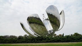 Floralis Generica,布宜诺斯艾利斯 免版税库存图片 Floralis Generica,布宜诺斯艾利斯 免版税库存图片