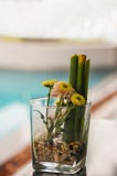 Flores amarillas en un vidrio usado como decoración de la tabla imagenes de archivo Flores amarillas en un vidrio usado como decoración de la tabla imagenes de archivo