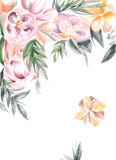 Flores anaranjadas y rosadas ilustración del vector Flores anaranjadas y rosadas ilustración del vector