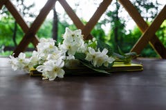 Flores blancas del jazmín con las hojas verdes y el cuaderno amarillo en la tabla de madera marrón oscura Endecha plana, visi?n s foto de archivo libre de regalías Flores blancas del jazmín con las hojas verdes y el cuaderno amarillo en la tabla de madera marrón oscura Endecha plana, visi?n s foto de archivo libre de regalías
