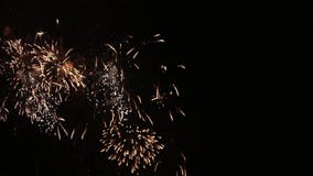 Flores bonitas dos fogos-de-artifício no céu noturno Brilhantemente os fogos-de-artifício azuis no preto escuro colorem o fundo O vídeos de arquivo Flores bonitas dos fogos-de-artifício no céu noturno Brilhantemente os fogos-de-artifício azuis no preto escuro colorem o fundo O vídeos de arquivo