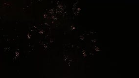 Flores bonitas dos fogos-de-artifício no céu noturno Evento festivo acompanhado das pomadas do feriado O feriado relaxa o tempo c vídeos de arquivo Flores bonitas dos fogos-de-artifício no céu noturno Evento festivo acompanhado das pomadas do feriado O feriado relaxa o tempo c vídeos de arquivo
