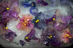 Flores congeladas nas violetas do gelo Lilás, rosa, multi-colorido foto de stock Flores congeladas nas violetas do gelo Lilás, rosa, multi-colorido foto de stock
