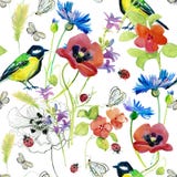 Flores de florescência do jardim bonito do verão da aquarela ilustração do vetor Flores de florescência do jardim bonito do verão da aquarela ilustração do vetor