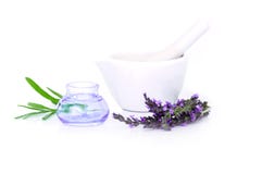 Flores de la lavanda, extracto del lavander y montar con las flores secas aisladas en blanco imagenes de archivo Flores de la lavanda, extracto del lavander y montar con las flores secas aisladas en blanco imagenes de archivo