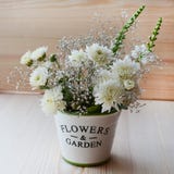 Flores del crisantemo en un pote decorativo Fotografía de archivo Flores del crisantemo en un pote decorativo Fotografía de archivo
