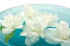 Flores do jasmim que flutuam na água Fotografia de Stock Flores do jasmim que flutuam na água Fotografia de Stock