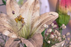 Flores plásticas en una cesta en piso de madera viejo imágenes de archivo libres de regalías Flores plásticas en una cesta en piso de madera viejo imágenes de archivo libres de regalías