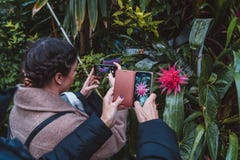 Flores y plantas a partir de diez diversas zonas de clima fotografía de archivo libre de regalías Flores y plantas a partir de diez diversas zonas de clima fotografía de archivo libre de regalías