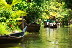 Floresta tropical da palmeira na maré de Kochin, Kerala, Índia fotos de stock Floresta tropical da palmeira na maré de Kochin, Kerala, Índia fotos de stock