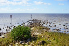 Florida hernandostrand: fågeln vaggar på royaltyfri bild Florida hernandostrand: fågeln vaggar på royaltyfri bild