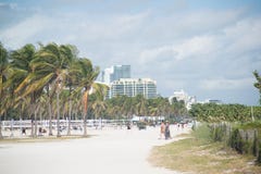 Florida. Miami Beach. royalty free stock images Florida. Miami Beach. royalty free stock images