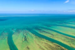 Florida stämm antenn beskådar royaltyfri fotografi Florida stämm antenn beskådar royaltyfri fotografi