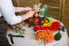 Florist bei der Arbeit: Wie man ein Danksagungsmittelstück mit großem Kürbis und Blumenstrauß von Blumen macht Schritt für Schrit stockbilder Florist bei der Arbeit: Wie man ein Danksagungsmittelstück mit großem Kürbis und Blumenstrauß von Blumen macht Schritt für Schrit stockbilder