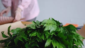Florist prepares tools to create a beautiful bouquet. Against the background of greenery. stock image Florist prepares tools to create a beautiful bouquet. Against the background of greenery. stock image