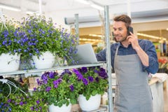 Florist Using Mobile Phone And Laptop In Shop Royalty Free Stock Photo Florist Using Mobile Phone And Laptop In Shop Royalty Free Stock Photo