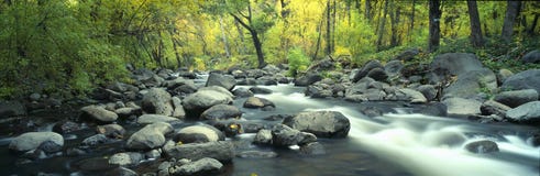 Flot en gorge de peuplier Photo libre de droits Flot en gorge de peuplier Photo libre de droits