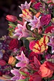 Flower Arrangement Stock Images Flower Arrangement Stock Images