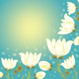 Flower Background Royalty Free Stock Image
