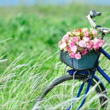 Flower Bike Stock Image