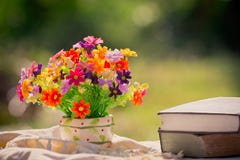 Flower and book at nature