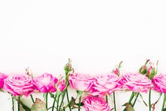 Flower border frame of pink roses and buds with copy space on white background. Flat lay, Top view. stock photography Flower border frame of pink roses and buds with copy space on white background. Flat lay, Top view. stock photography