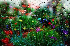 Flower garden in the summer rain