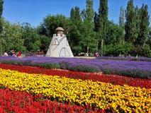 Flower garden royalty free stock photography Flower garden royalty free stock photography