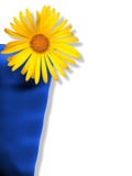 Flower In Cup Royalty Free Stock Images Flower In Cup Royalty Free Stock Images