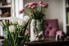 Flower inside the house royalty free stock image Flower inside the house royalty free stock image