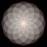 Flower of Life. Sacred Geometry. stock illustration Flower of Life. Sacred Geometry. stock illustration