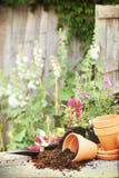 Flower Pots Royalty Free Stock Photo Flower Pots Royalty Free Stock Photo