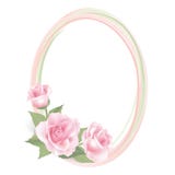 Flower Rose frame isolated on white background. Floral vector decor.
