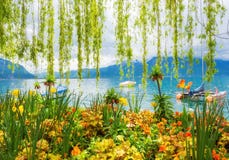 Flower Shore And Mountains, Montreux. Switzerland Stock Photos
