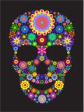 Flower Skull Royalty Free Stock Image Flower Skull Royalty Free Stock Image