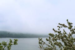 Apple trees, tree, spring, flower, flowers, tree, fog, lake, Shore Stock Images Apple trees, tree, spring, flower, flowers, tree, fog, lake, Shore Stock Images