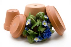 Flowerpot And Bouquet Stock Image