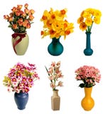 Flowers Stock Photos Flowers Stock Photos