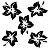 Flowers vector illustration Flowers vector illustration