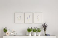 Flowers on cupboard against white wall with posters in minimal living room interior. Real photo