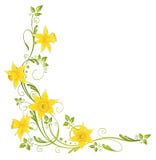 Flowers, Daffodils Royalty Free Stock Image Flowers, Daffodils Royalty Free Stock Image