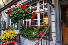 Flowers houses in Monschau stock image Flowers houses in Monschau stock image
