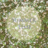 Flowers and leafes of jasmine outdoor with message Summer time. royalty free stock photo Flowers and leafes of jasmine outdoor with message Summer time. royalty free stock photo