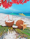 Flowers over coconuts royalty free stock photo Flowers over coconuts royalty free stock photo