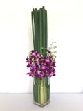 Flowers royalty free stock photos Flowers royalty free stock photos