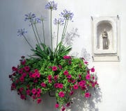 Flowers royalty free stock photo Flowers royalty free stock photo