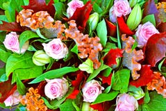 Flowers synthesis beautiful bouquet background and wallpapers in top high quality prints royalty free stock images Flowers synthesis beautiful bouquet background and wallpapers in top high quality prints royalty free stock images